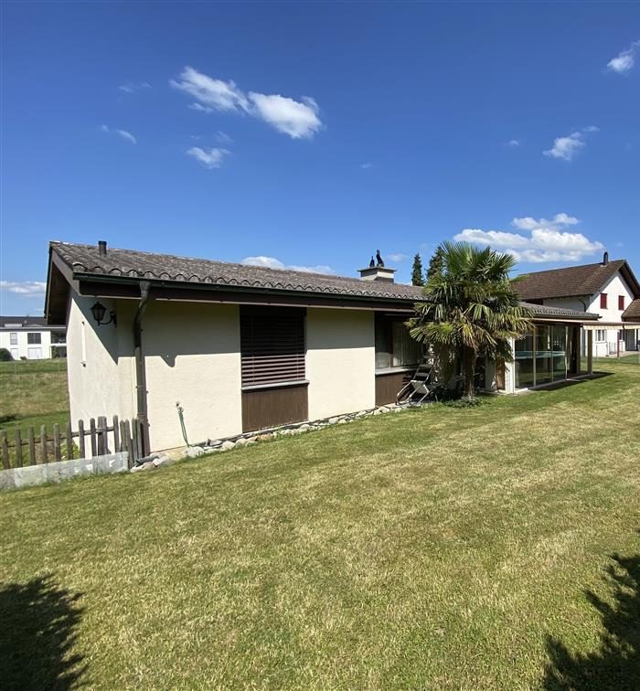 The house from the lawn